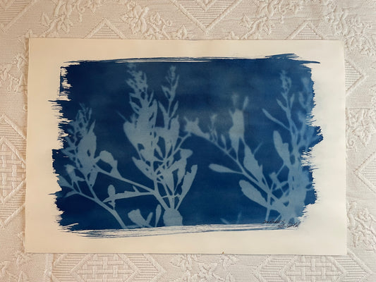 Sea-Rocket #2