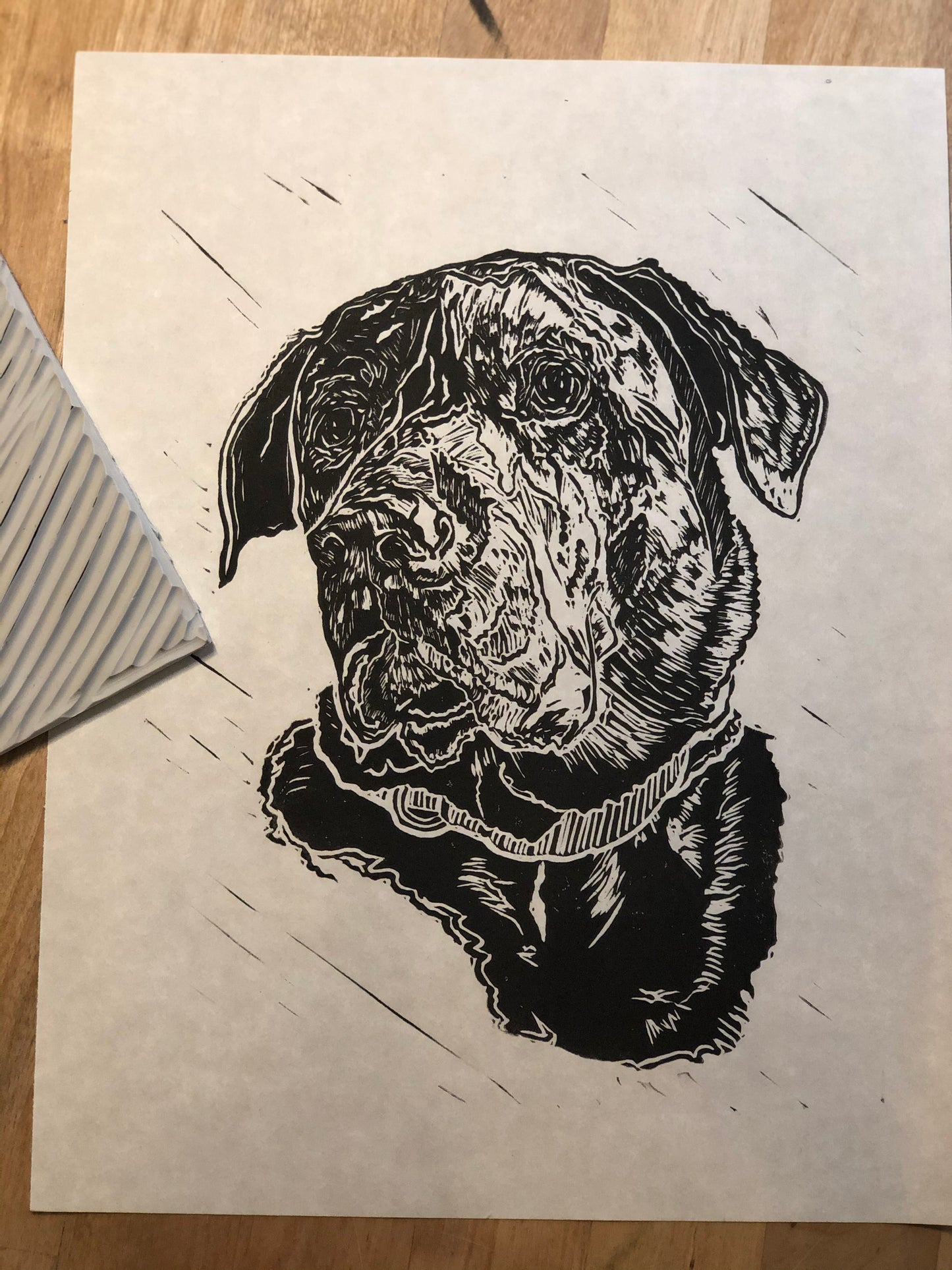 Pet portrait size 8x10inches