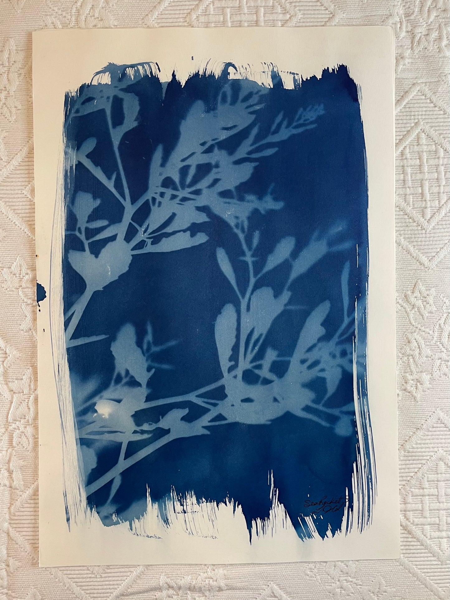 Sea-Rocket #3