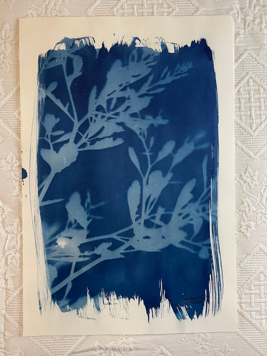 Sea-Rocket #3