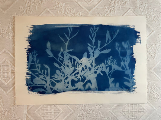 Sea-Rocket #1