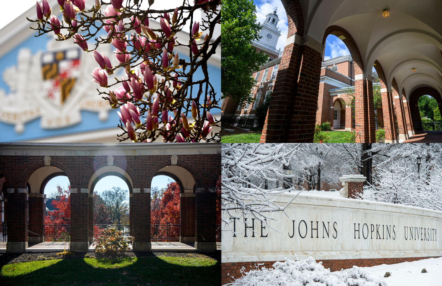Seasonal photos from Homewood Campus -Will Kirk 3