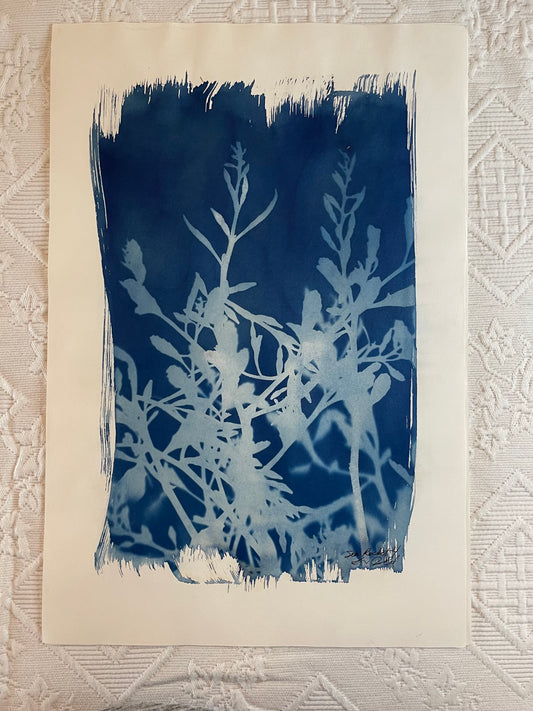 Sea-Rocket #4